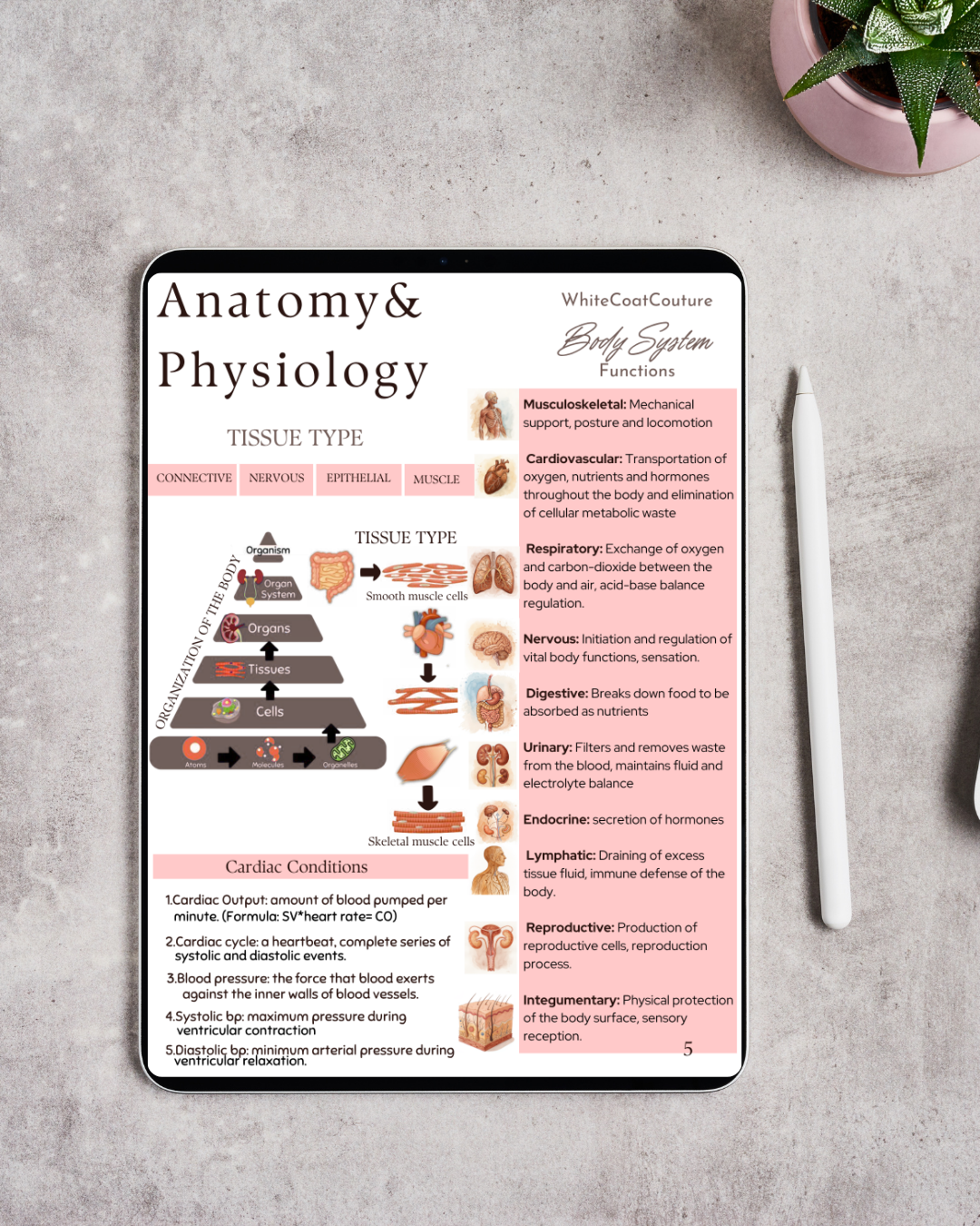 Nursing Student Survival Guide - PREORDER 7/1